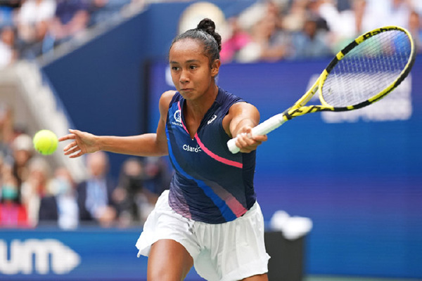 独立游戏口 独立游戏口